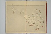 Picture Album of Birds and Flowers (Seitei Kachō gafu)  省亭花鳥画譜, Watanabe Seitei 渡辺省亭 (Japanese, 1851–1918), Set of three woodblock printed books attached by thread binding; ink and color on paper, Japan