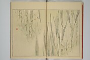 Picture Album of Birds and Flowers (Seitei Kachō gafu)  省亭花鳥画譜, Watanabe Seitei 渡辺省亭 (Japanese, 1851–1918), Set of three woodblock printed books attached by thread binding; ink and color on paper, Japan