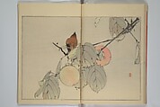 Picture Album of Birds and Flowers (Seitei Kachō gafu)  省亭花鳥画譜, Watanabe Seitei 渡辺省亭 (Japanese, 1851–1918), Set of three woodblock printed books attached by thread binding; ink and color on paper, Japan