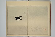 Picture Album of Birds and Flowers (Seitei Kachō gafu)  省亭花鳥画譜, Watanabe Seitei 渡辺省亭 (Japanese, 1851–1918), Set of three woodblock printed books attached by thread binding; ink and color on paper, Japan