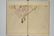 Picture Album of Birds and Flowers (Seitei Kachō gafu)  省亭花鳥画譜, Watanabe Seitei 渡辺省亭 (Japanese, 1851–1918), Set of three woodblock printed books attached by thread binding; ink and color on paper, Japan
