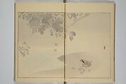 Picture Album of Birds and Flowers (Seitei Kachō gafu)  省亭花鳥画譜, Watanabe Seitei 渡辺省亭 (Japanese, 1851–1918), Set of three woodblock printed books attached by thread binding; ink and color on paper, Japan
