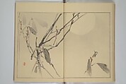 Picture Album of Birds and Flowers (Seitei Kachō gafu)  省亭花鳥画譜, Watanabe Seitei 渡辺省亭 (Japanese, 1851–1918), Set of three woodblock printed books attached by thread binding; ink and color on paper, Japan