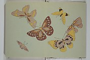A Thousand Butterflies (Chō senshu) 蝶千種, Kamisaka Sekka 神阪雪佳 (Japanese, 1866–1942), Set of two woodblock printed books (orihon, accordion-style); ink and color on paper, Japan
