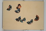 A Thousand Butterflies (Chō senshu) 蝶千種, Kamisaka Sekka 神阪雪佳 (Japanese, 1866–1942), Set of two woodblock printed books (orihon, accordion-style); ink and color on paper, Japan