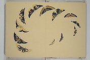 A Thousand Butterflies (Chō senshu) 蝶千種, Kamisaka Sekka 神阪雪佳 (Japanese, 1866–1942), Set of two woodblock printed books (orihon, accordion-style); ink and color on paper, Japan