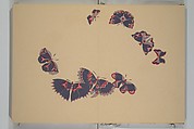 A Thousand Butterflies (Chō senshu) 蝶千種, Kamisaka Sekka 神阪雪佳 (Japanese, 1866–1942), Set of two woodblock printed books (orihon, accordion-style); ink and color on paper, Japan