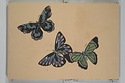 A Thousand Butterflies (Chō senshu) 蝶千種, Kamisaka Sekka 神阪雪佳 (Japanese, 1866–1942), Set of two woodblock printed books (orihon, accordion-style); ink and color on paper, Japan
