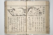 Erotica; Compendium Guide to the Brothels of Osaka (Keiryaku ōzassho gyokumon taisei) 閨暦大雑書玉門大成, Kitao Shigemasa 北尾重政 (Japanese, 1739–1820), Woodblock printed book; ink and color on paper, Japan