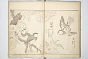 True Depictions of Bird and Flower Pictures (Kachōe shashin zui) 花鳥写真図彙; 花鳥写真図会(かちょうえ しゃしん ずえ), Kitao Shigemasa 北尾重政 (Japanese, 1739–1820), Set of three woodblock printed books; ink on paper, Japan