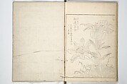 True Depictions of Bird and Flower Pictures (Kachōe shashin zui) 花鳥写真図彙; 花鳥写真図会(かちょうえ しゃしん ずえ), Kitao Shigemasa 北尾重政 (Japanese, 1739–1820), Set of three woodblock printed books; ink on paper, Japan