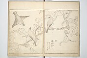 True Depictions of Bird and Flower Pictures (Kachōe shashin zui) 花鳥写真図彙; 花鳥写真図会(かちょうえ しゃしん ずえ), Kitao Shigemasa 北尾重政 (Japanese, 1739–1820), Set of three woodblock printed books; ink on paper, Japan