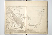 Kitao Shigemasa 北尾重政 | True Depictions of Bird and Flower Pictures ...