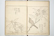 True Depictions of Bird and Flower Pictures (Kachōe shashin zui) 花鳥写真図彙; 花鳥写真図会(かちょうえ しゃしん ずえ), Kitao Shigemasa 北尾重政 (Japanese, 1739–1820), Set of three woodblock printed books; ink on paper, Japan