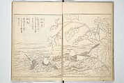 True Depictions of Bird and Flower Pictures (Kachōe shashin zui) 花鳥写真図彙; 花鳥写真図会(かちょうえ しゃしん ずえ), Kitao Shigemasa 北尾重政 (Japanese, 1739–1820), Set of three woodblock printed books; ink on paper, Japan
