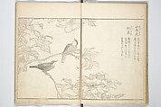 True Depictions of Bird and Flower Pictures (Kachōe shashin zui) 花鳥写真図彙; 花鳥写真図会(かちょうえ しゃしん ずえ), Kitao Shigemasa 北尾重政 (Japanese, 1739–1820), Set of three woodblock printed books; ink on paper, Japan