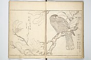 True Depictions of Bird and Flower Pictures (Kachōe shashin zui) 花鳥写真図彙; 花鳥写真図会(かちょうえ しゃしん ずえ), Kitao Shigemasa 北尾重政 (Japanese, 1739–1820), Set of three woodblock printed books; ink on paper, Japan
