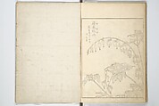 True Depictions of Bird and Flower Pictures (Kachōe shashin zui) 花鳥写真図彙; 花鳥写真図会(かちょうえ しゃしん ずえ), Kitao Shigemasa 北尾重政 (Japanese, 1739–1820), Set of three woodblock printed books; ink on paper, Japan