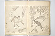 True Depictions of Bird and Flower Pictures (Kachōe shashin zui) 花鳥写真図彙; 花鳥写真図会(かちょうえ しゃしん ずえ), Kitao Shigemasa 北尾重政 (Japanese, 1739–1820), Set of three woodblock printed books; ink on paper, Japan