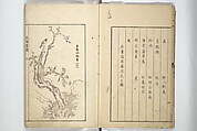 Sō Shiseki Picture Album (Sō Shiseki gafu)  宋紫石画譜, Sō Shiseki 宋紫石 (Japanese, 1715–1786), Set of three woodblock printed books; ink, color, and hand-coloring (vol. 2) on paper, Japan