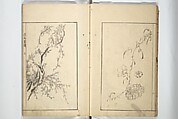 Sō Shiseki Picture Album (Sō Shiseki gafu)  宋紫石画譜, Sō Shiseki 宋紫石 (Japanese, 1715–1786), Set of three woodblock printed books; ink, color, and hand-coloring (vol. 2) on paper, Japan