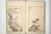 Sō Shiseki Picture Album (Sō Shiseki gafu)  宋紫石画譜, Sō Shiseki 宋紫石 (Japanese, 1715–1786), Set of three woodblock printed books; ink, color, and hand-coloring (vol. 2) on paper, Japan