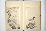 Sō Shiseki Picture Album (Sō Shiseki gafu) 宋紫石画譜, Sō Shiseki 宋紫石 (Japanese, 1715–1786), Set of three woodblock printed books; ink, color, and hand-coloring (vol. 2) on paper, Japan