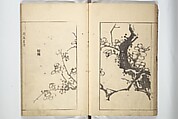 Sō Shiseki Picture Album (Sō Shiseki gafu)  宋紫石画譜, Sō Shiseki 宋紫石 (Japanese, 1715–1786), Set of three woodblock printed books; ink, color, and hand-coloring (vol. 2) on paper, Japan