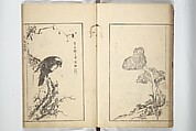 Sō Shiseki Picture Album (Sō Shiseki gafu)  宋紫石画譜, Sō Shiseki 宋紫石 (Japanese, 1715–1786), Set of three woodblock printed books; ink, color, and hand-coloring (vol. 2) on paper, Japan
