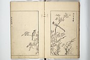 Sō Shiseki Picture Album (Sō Shiseki gafu)  宋紫石画譜, Sō Shiseki 宋紫石 (Japanese, 1715–1786), Set of three woodblock printed books; ink, color, and hand-coloring (vol. 2) on paper, Japan