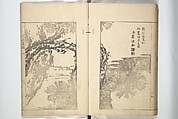 Sō Shiseki Picture Album (Sō Shiseki gafu)  宋紫石画譜, Sō Shiseki 宋紫石 (Japanese, 1715–1786), Set of three woodblock printed books; ink, color, and hand-coloring (vol. 2) on paper, Japan