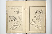 Sō Shiseki Picture Album (Sō Shiseki gafu)  宋紫石画譜, Sō Shiseki 宋紫石 (Japanese, 1715–1786), Set of three woodblock printed books; ink, color, and hand-coloring (vol. 2) on paper, Japan