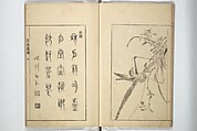 Sō Shiseki Picture Album (Sō Shiseki gafu)  宋紫石画譜, Sō Shiseki 宋紫石 (Japanese, 1715–1786), Set of three woodblock printed books; ink, color, and hand-coloring (vol. 2) on paper, Japan