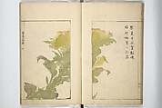 Sō Shiseki Picture Album (Sō Shiseki gafu)  宋紫石画譜, Sō Shiseki 宋紫石 (Japanese, 1715–1786), Set of three woodblock printed books; ink, color, and hand-coloring (vol. 2) on paper, Japan