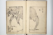 Sō Shiseki Picture Album (Sō Shiseki gafu)  宋紫石画譜, Sō Shiseki 宋紫石 (Japanese, 1715–1786), Set of three woodblock printed books; ink, color, and hand-coloring (vol. 2) on paper, Japan