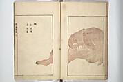 Sō Shiseki Picture Album (Sō Shiseki gafu)  宋紫石画譜, Sō Shiseki 宋紫石 (Japanese, 1715–1786), Set of three woodblock printed books; ink, color, and hand-coloring (vol. 2) on paper, Japan