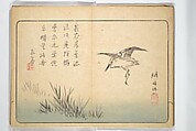 Album of Calligraphy and Painting (Shoga jō) 書画帖, Tsukioka Settei (Japanese, 1710–1786), Woodblock printed book (orihon, accordion-style); ink and color on paper, Japan