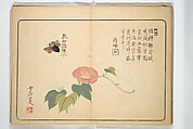Album of Calligraphy and Painting (Shoga jō) 書画帖, Tsukioka Settei (Japanese, 1710–1786), Woodblock printed book (orihon, accordion-style); ink and color on paper, Japan