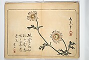 Album of Calligraphy and Painting (Shoga jō) 書画帖, Tsukioka Settei (Japanese, 1710–1786), Woodblock printed book (orihon, accordion-style); ink and color on paper, Japan