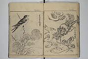 A Garden of Celebrated Japanese and Chinese Paintings (Wakan meigaen} 和漢名画苑, Ooka Shunboku 大岡春卜 (1680–1763), Set of six woodblock-printed books bound as one, with additional volume; ink on paper, Japan