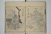 A Garden of Celebrated Japanese and Chinese Paintings (Wakan meigaen} 和漢名画苑, Ooka Shunboku 大岡春卜 (1680–1763), Set of six woodblock-printed books bound as one, with additional volume; ink on paper, Japan