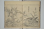 A Garden of Celebrated Japanese and Chinese Paintings (Wakan meigaen} 和漢名画苑, Ooka Shunboku 大岡春卜 (1680–1763), Set of six woodblock-printed books bound as one, with additional volume; ink on paper, Japan