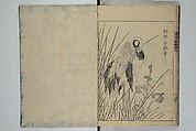 A Garden of Celebrated Japanese and Chinese Paintings (Wakan meigaen} 和漢名画苑, Ooka Shunboku 大岡春卜 (1680–1763), Set of six woodblock-printed books bound as one, with additional volume; ink on paper, Japan