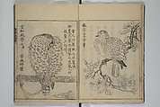 A Garden of Celebrated Japanese and Chinese Paintings (Wakan meigaen} 和漢名画苑, Ooka Shunboku 大岡春卜 (1680–1763), Set of six woodblock-printed books bound as one, with additional volume; ink on paper, Japan