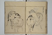 A Garden of Celebrated Japanese and Chinese Paintings (Wakan meigaen} 和漢名画苑, Ooka Shunboku 大岡春卜 (1680–1763), Set of six woodblock-printed books bound as one, with additional volume; ink on paper, Japan