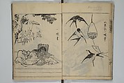 A Garden of Celebrated Japanese and Chinese Paintings (Wakan meigaen} 和漢名画苑, Ooka Shunboku 大岡春卜 (1680–1763), Set of six woodblock-printed books bound as one, with additional volume; ink on paper, Japan