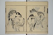 A Garden of Celebrated Japanese and Chinese Paintings (Wakan meigaen} 和漢名画苑, Ooka Shunboku 大岡春卜 (1680–1763), Set of six woodblock-printed books bound as one, with additional volume; ink on paper, Japan