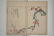 A Collection of Lively Sketches [Of Flowers and Insects] of the Ming Dynasty (Minchō shiken) 明朝紫硯, Ooka Shunboku 大岡春卜 (1680–1763), Set of three woodblock printed books; ink and color on paper, Japan