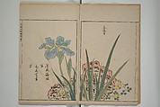 A Collection of Lively Sketches [Of Flowers and Insects] of the Ming Dynasty (Minchō shiken) 明朝紫硯, Ooka Shunboku 大岡春卜 (1680–1763), Set of three woodblock printed books; ink and color on paper, Japan