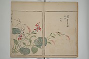A Collection of Lively Sketches [Of Flowers and Insects] of the Ming Dynasty (Minchō shiken) 明朝紫硯, Ooka Shunboku 大岡春卜 (1680–1763), Set of three woodblock printed books; ink and color on paper, Japan